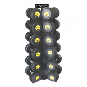 Vertical Dumbbell Stand